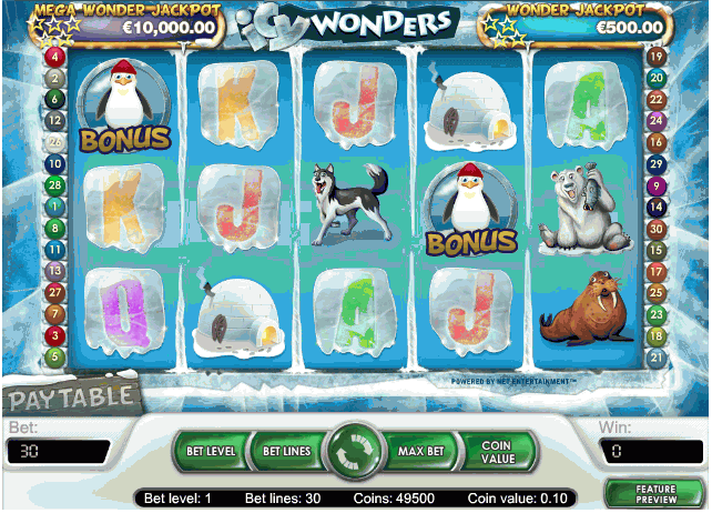 Icy Wonders